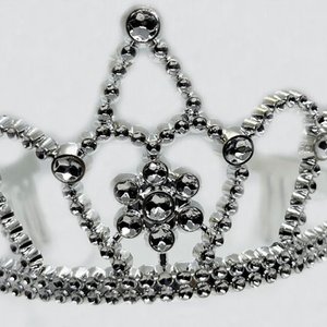 Silver Tiara
